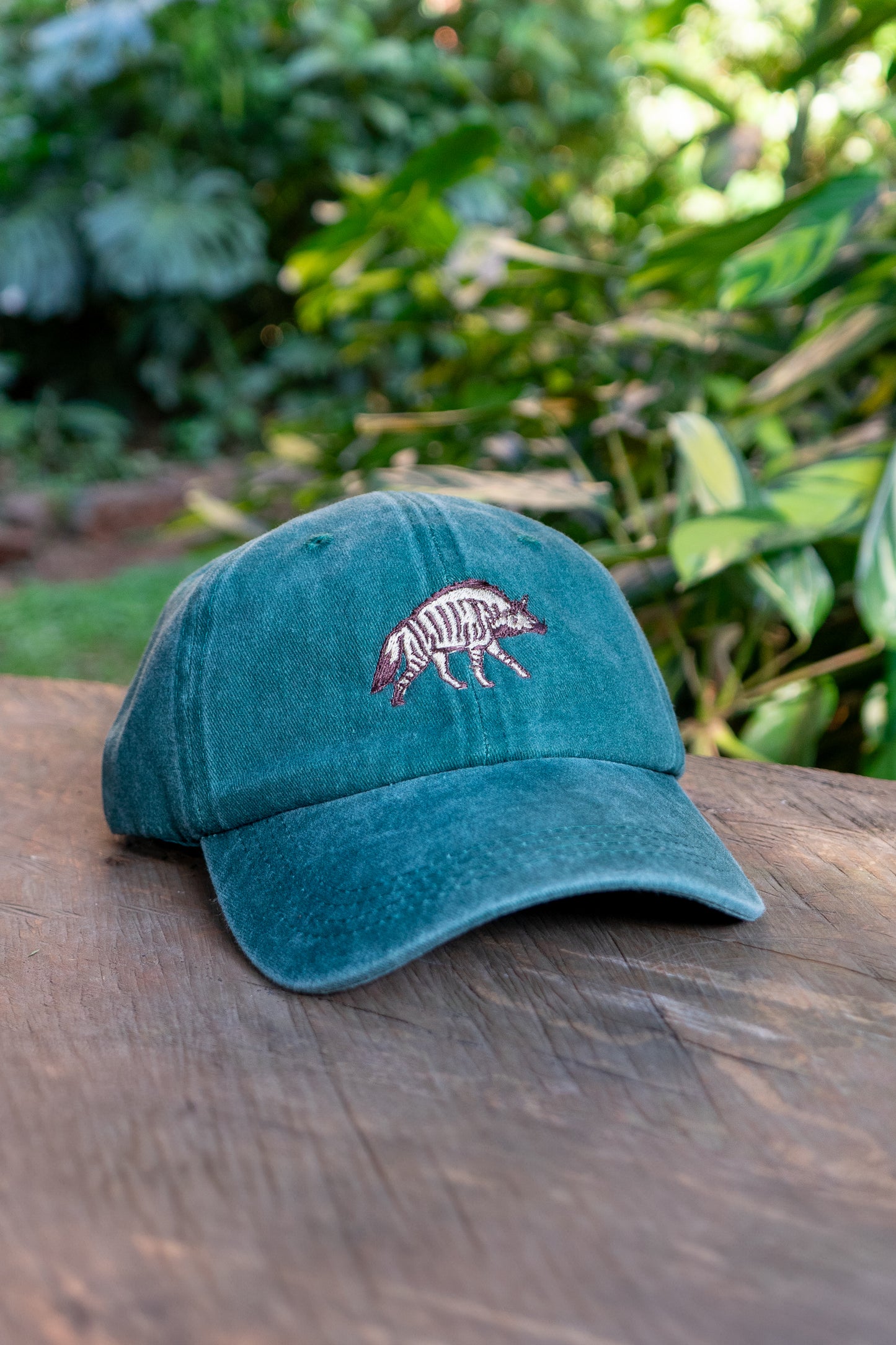 The Aardwolf Cap