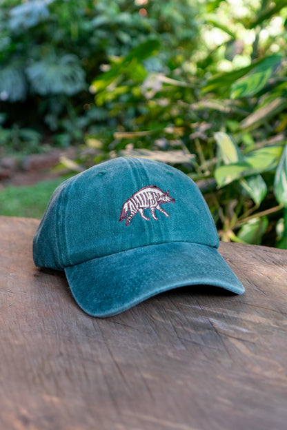 The Aardwolf Cap